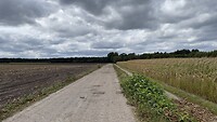Lange rechte weg