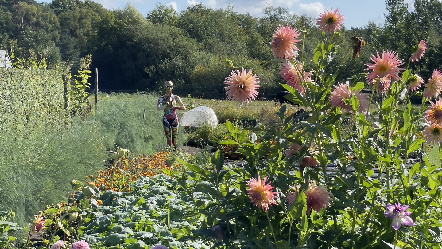 Mooie mevrouw onderweg
