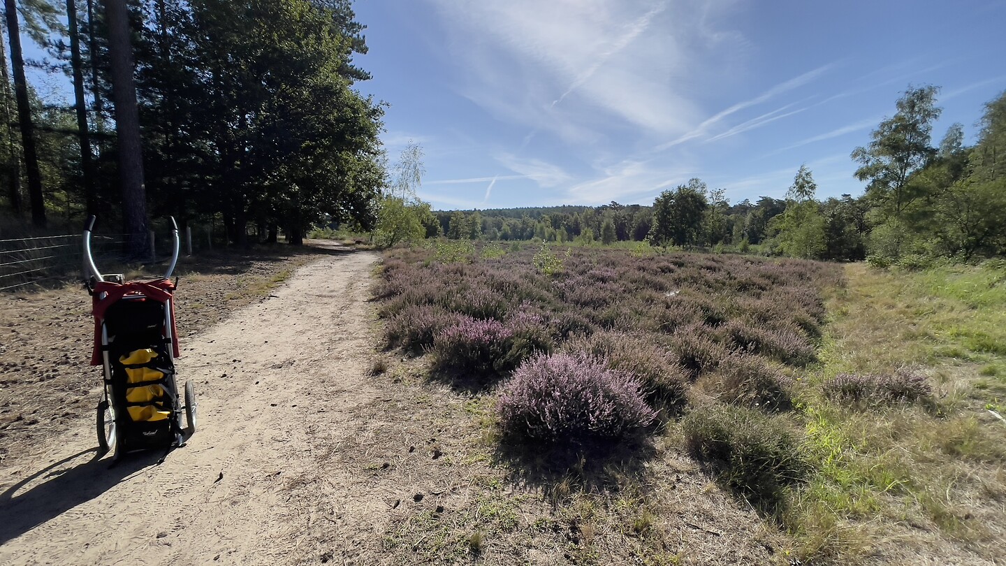 Heide