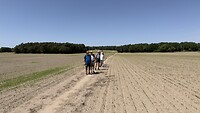 In de volle zon