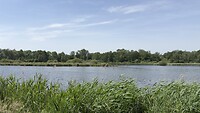 Een ven in Lozense heide