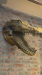 Krokodil onderweg Berkel-Enschot