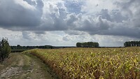 Onderweg