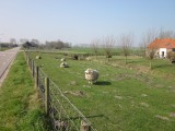 Publiek