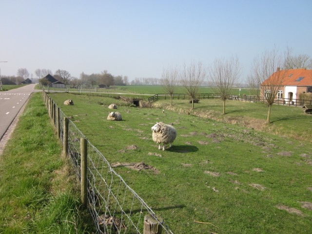 Publiek