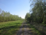 Mooie weg