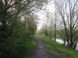 Schelde