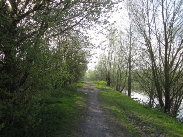 Schelde