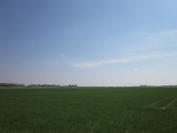 Weids land