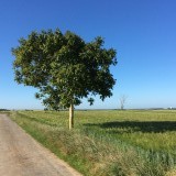 Landschapje