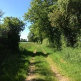 Mooi landweggetje