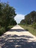 heeeeeeeeeeeeeeeeel lange weg