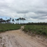Les Landes