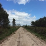 Les Landes