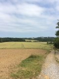 Pyreneeen