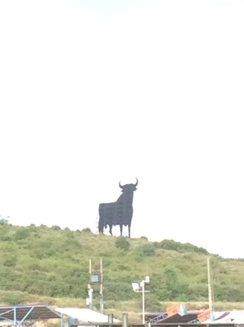 de eerste stier