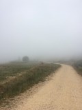 Hoog in de wolken