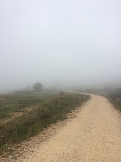 Hoog in de wolken