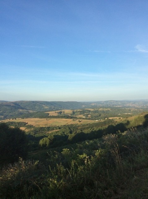 Uizicht