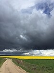Bui