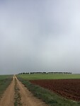 De vroege ochtend met nog lichte mist