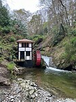 IMG_6466