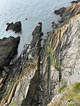 IMG_1264