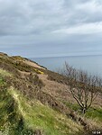 IMG_1265
