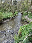 IMG_1266