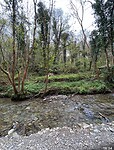 IMG_1269