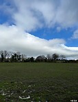 IMG_1270