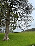 IMG_1274
