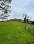 IMG_1275