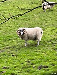 IMG_1277