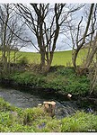 IMG_1349