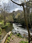 IMG_1350
