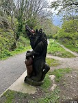 IMG_1351