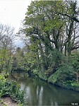 IMG_1352