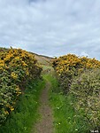 IMG_1355