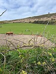 IMG_1357