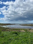 IMG_1367