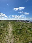 IMG_1382