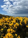 IMG_1385