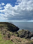 IMG_1386