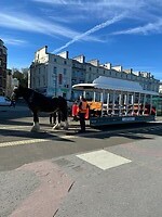 IMG_1394