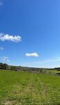 IMG_1419