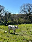 IMG_1422