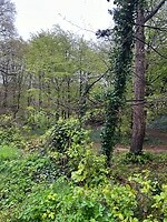 IMG_1491