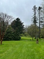 IMG_1492