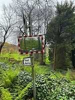 IMG_1493